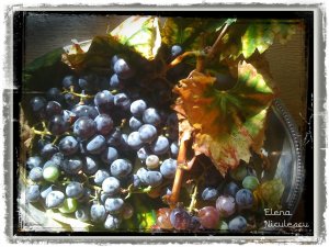 aranj-cu-struguri-16