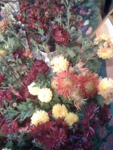 crizanteme-si-tufanele-12