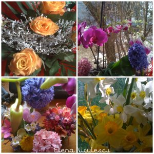 collage-spring-flowers