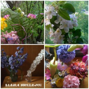 collage-spring-flowers1