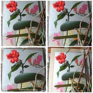 collage-trand-japonez