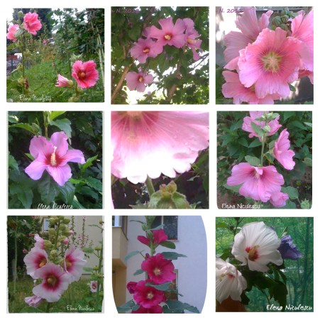 BeFunky-collage nalbe retro 8 aug